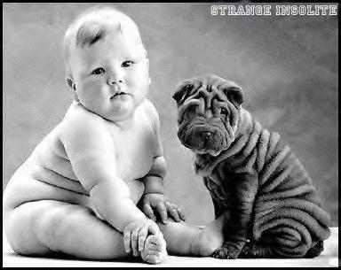 Trop chou !!!!!!!!!!!!!